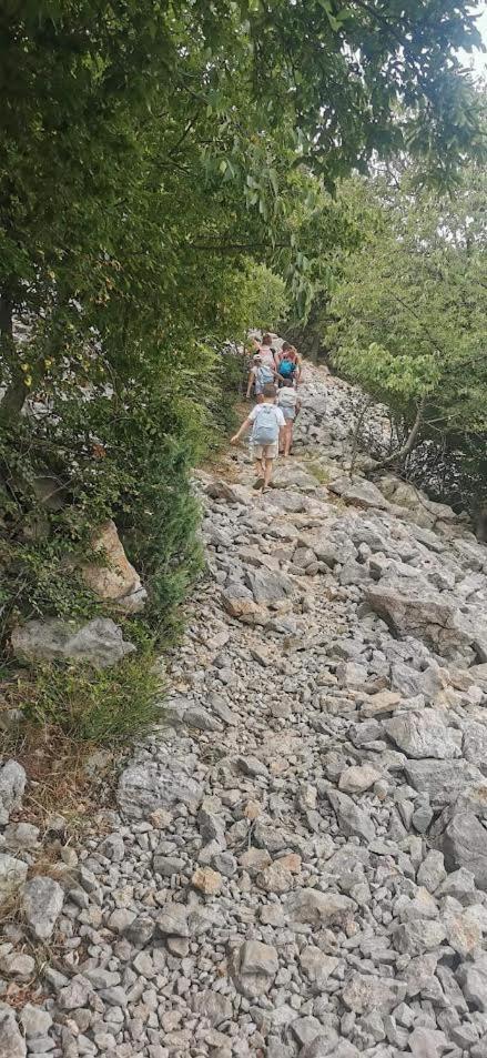 Apartman Milanko Muskovci Bagian luar foto